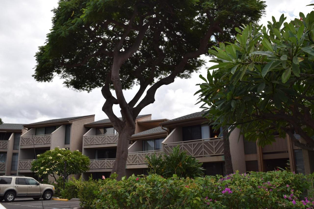 Kihei Holiday 116 Extérieur photo